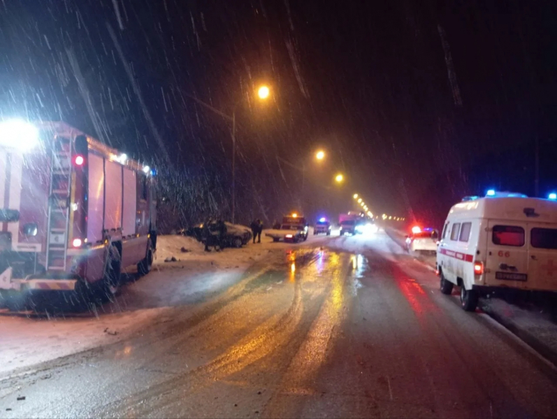 Фото: 13.мвд.рф