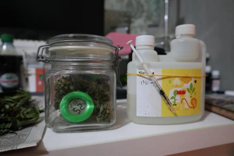 Фото: 13.мвд.рф