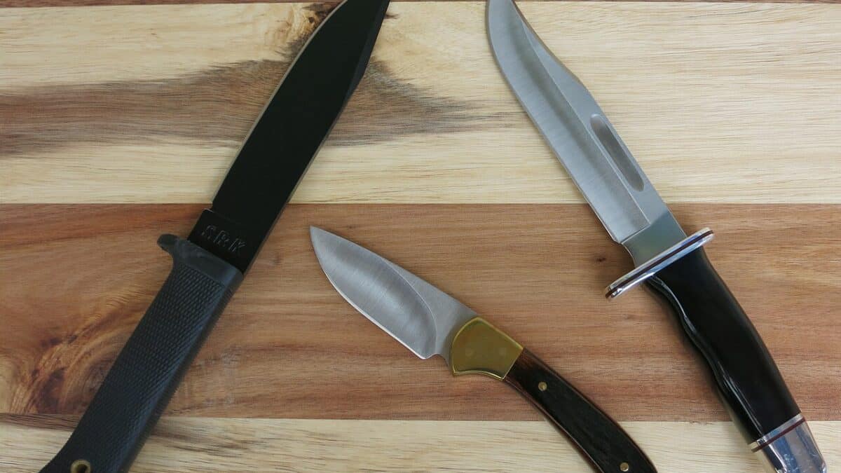 Фото: commons.wikimedia.org/James Case/Creative Commons Attribution 2.0