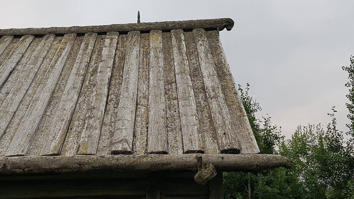 Фото: commons.wikimedia.org/Heidingi/Creative Commons Attribution-Share Alike 4.0