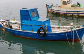 Фото: commons.wikimedia.rg/Nikolai Bulykin/Creative Commons Attribution-Share Alike 4.0