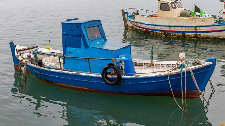 Фото: commons.wikimedia.rg/Nikolai Bulykin/Creative Commons Attribution-Share Alike 4.0