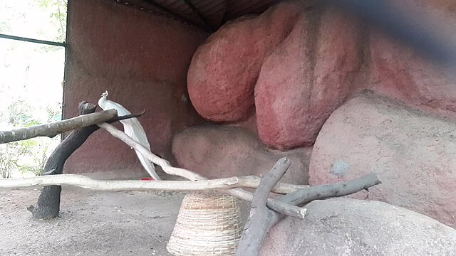 Фото: commons.wikimedia.org/Raviraj04/Creative Commons Attribution-Share Alike 4.0