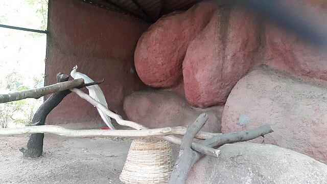 Фото: commons.wikimedia.org/Raviraj04/Creative Commons Attribution-Share Alike 4.0