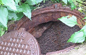 Фото: commons.wikimedia.org/dubrovka.911/Creative Commons Attribution 3.0