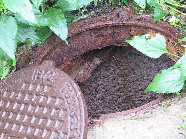 Фото: commons.wikimedia.org/dubrovka.911/Creative Commons Attribution 3.0