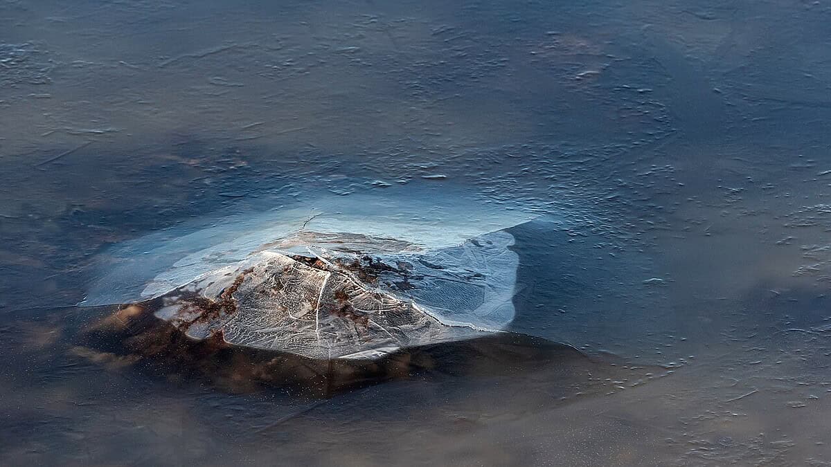 Фото: commons.wikimedia.org/W.carter/Creative Commons Attribution-Share Alike 4.0