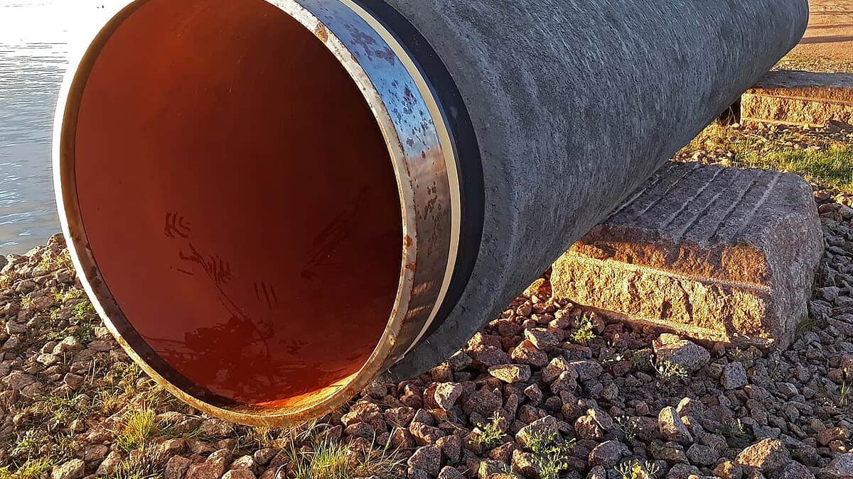 Фото: commons.wikimedia.org/Vuo/Creative Commons Attribution-Share Alike 4.0