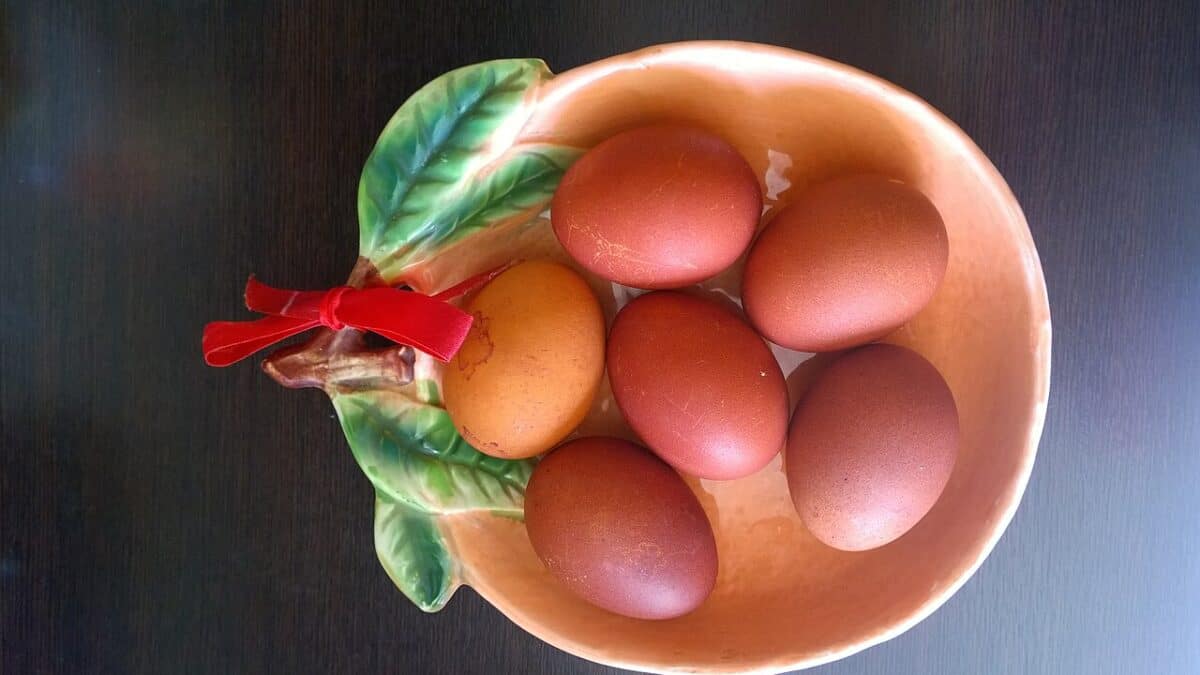 Фото: commons.wikimedia.org/Aleksey Churushkin/Creative Commons Attribution-Share Alike 4.0