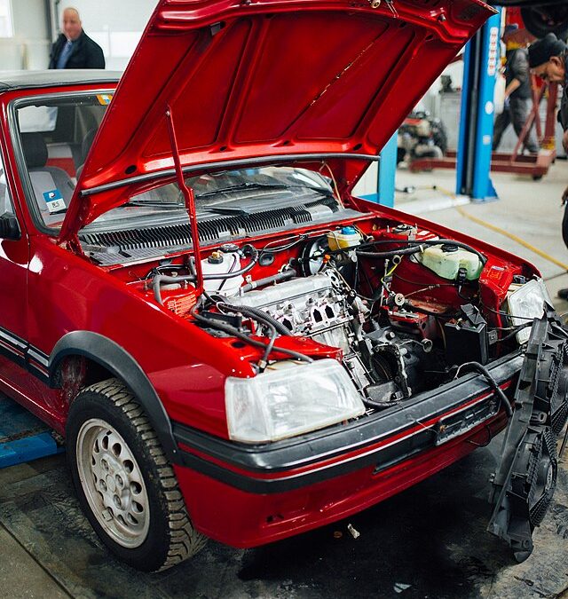 Фото: commons.wikimedia.org/Nenad Stojkovic/Creative Commons Attribution 2.0