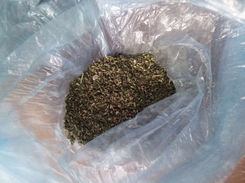 Фото: 13.мвд.рф