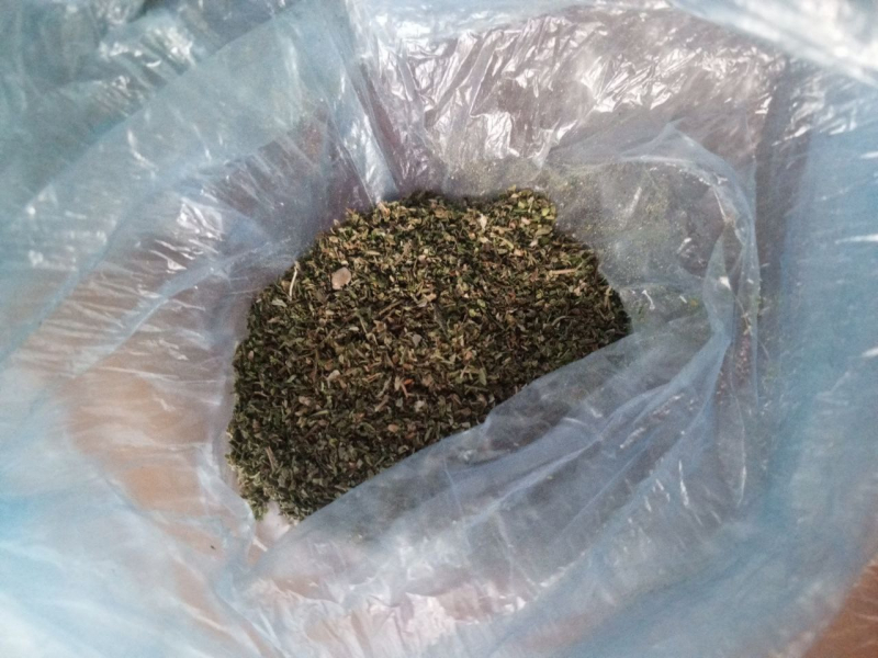 Фото: 13.мвд.рф