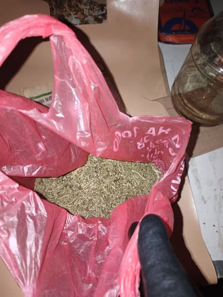 Фото: 13.мвд.рф