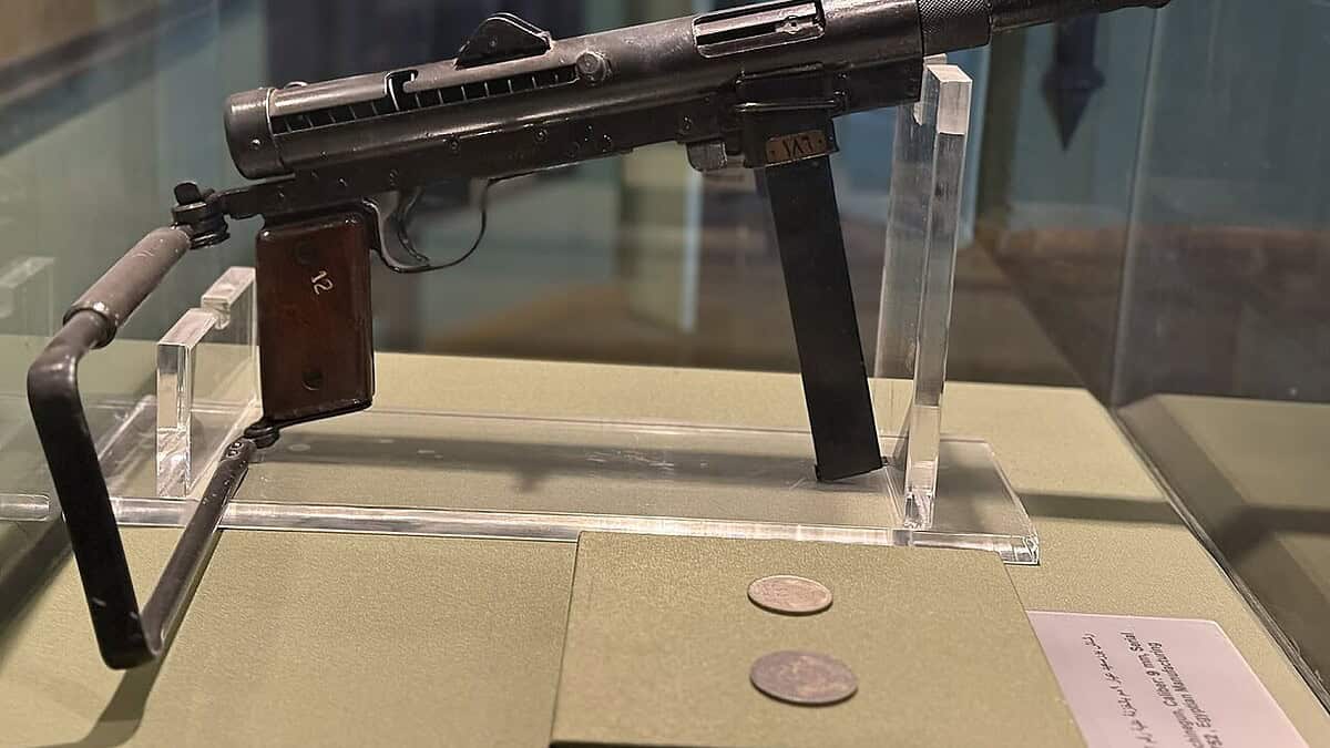 Фото: commons.wikimedia.org/Amr F.Nagy/Creative Commons Attribution 4.0