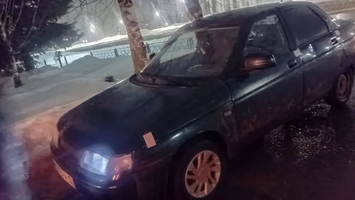 Фото: ММО МВД России «Ичалковский»