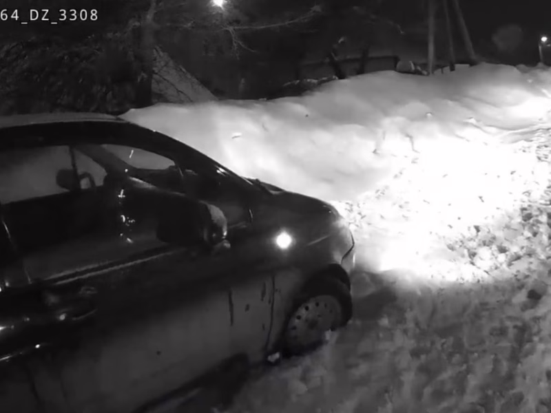 Фото: 13.мвд.рф