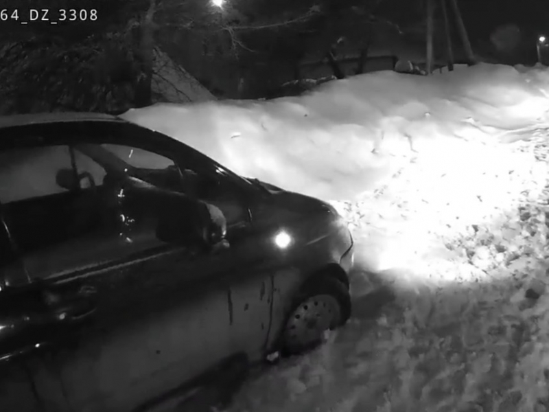 Фото: 13.мвд.рф