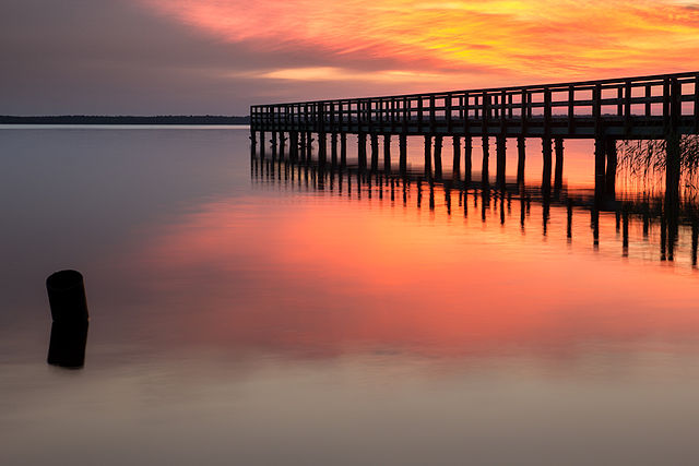 Фото: commons.wikimedia.org/Mindaugas Macaitis/Creative Commons Attribution-Share Alike 3.0