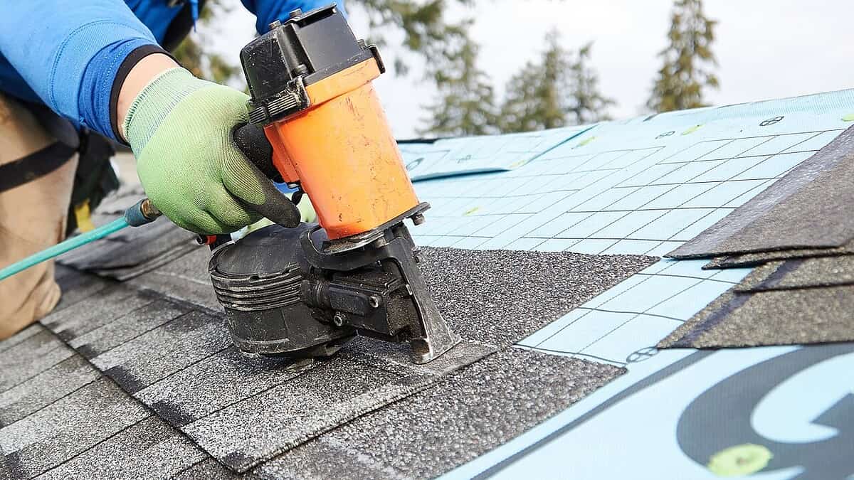 Фото: commons.wikimedia.org/Porcinipal/Creative Commons Zero, Public Domain Dedication