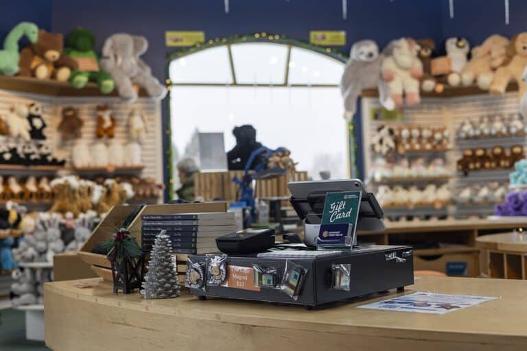 Фото: commons.wikimedia.org/Tessa Bury/Creative Commons Attribution 4.0