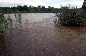 Фото: commons.wikimedia.org/P Flannagan/Creative Commons Attribution-Share Alike 2.0