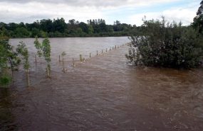 Фото: commons.wikimedia.org/P Flannagan/Creative Commons Attribution-Share Alike 2.0