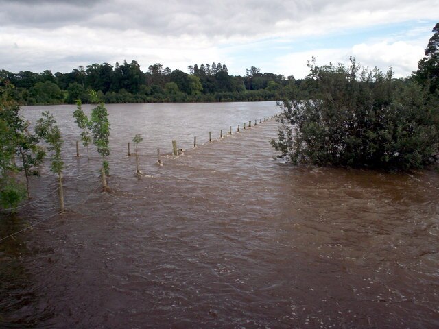 Фото: commons.wikimedia.org/P Flannagan/Creative Commons Attribution-Share Alike 2.0