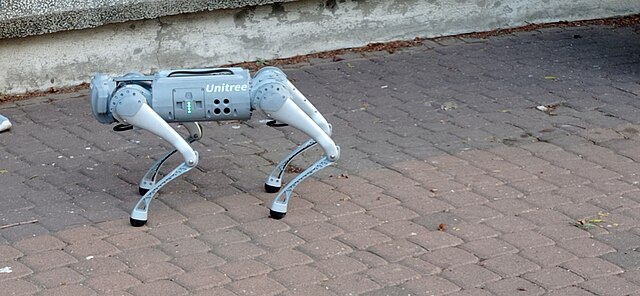 Фото: commons.wikimedia.org/DGtal/Creative Commons Attribution 3.0