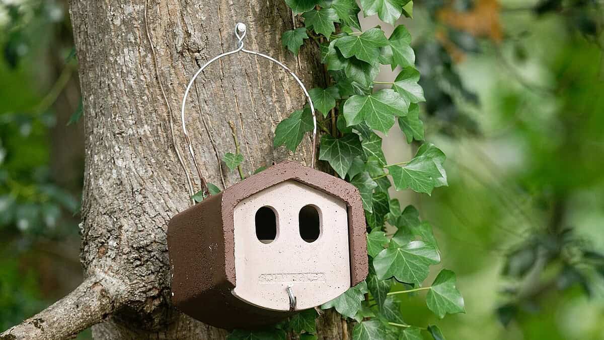 Фото: commons.wikimedia.org/Marie-Lan Taÿ Pamart/Creative Commons Attribution 4.0