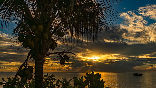 Фото: commons.wikimedia.org/NorbertNagel/Creative Commons Attribution-Share Alike 4.0