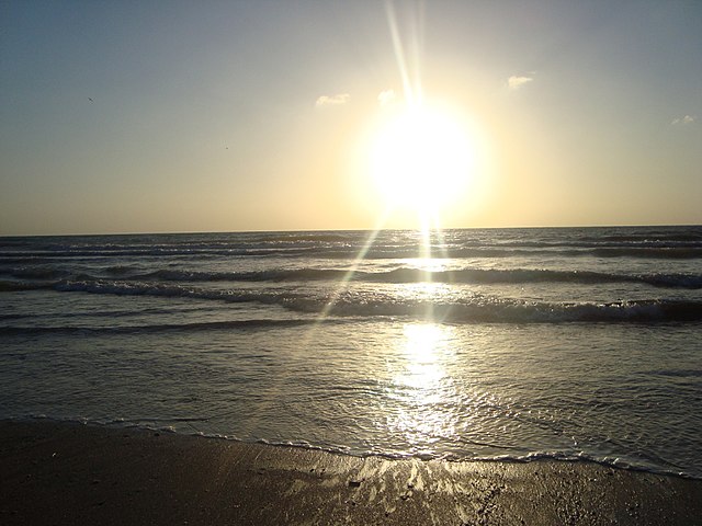 Фото: commons.wikimedia.org/Hadi Karimi/Creative Commons Attribution 3.0