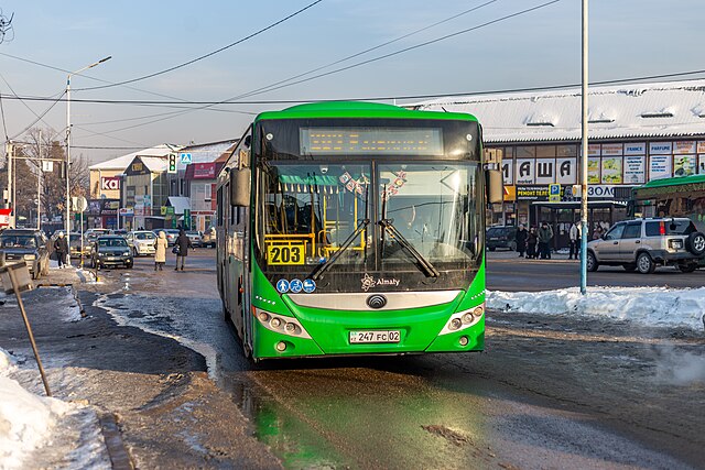 Фото: commons.wikimedia.org/Николай Булыкин/Creative Commons Attribution-Share Alike 4.0