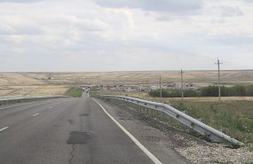 Фото: commons.wikimedia.org/kikiwis/Creative Commons Attribution 3.0