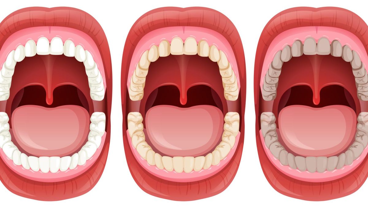 Фото: vecteezy.com