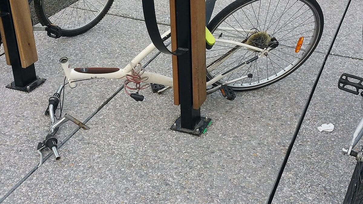 Фото: commons.wikimedia.org/TCY/Creative Commons Attribution-Share Alike 4.0