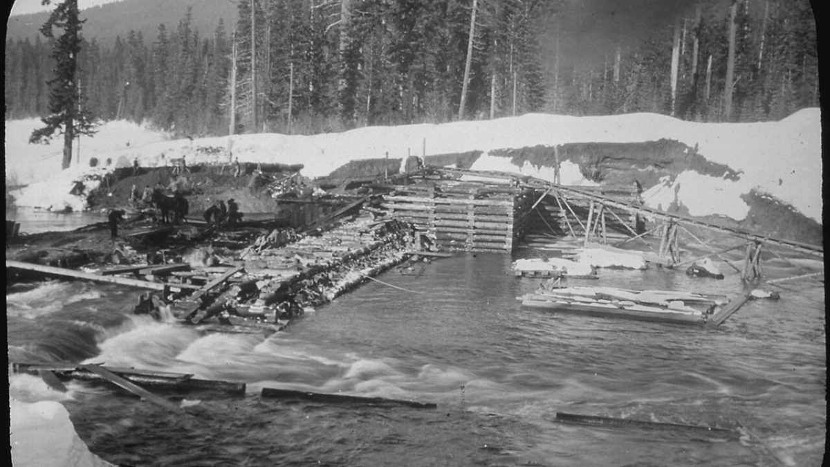 Фото: commons.wikimaia.org/Unknown author or not provided/Public domain