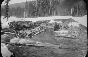 Фото: commons.wikimaia.org/Unknown author or not provided/Public domain