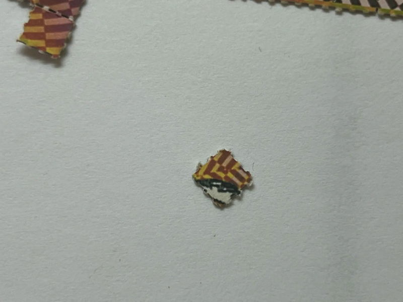 Фото: 13.мвд.рф