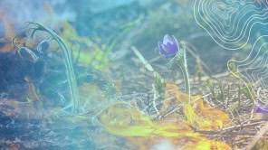 Фото: Росреестр по РМ