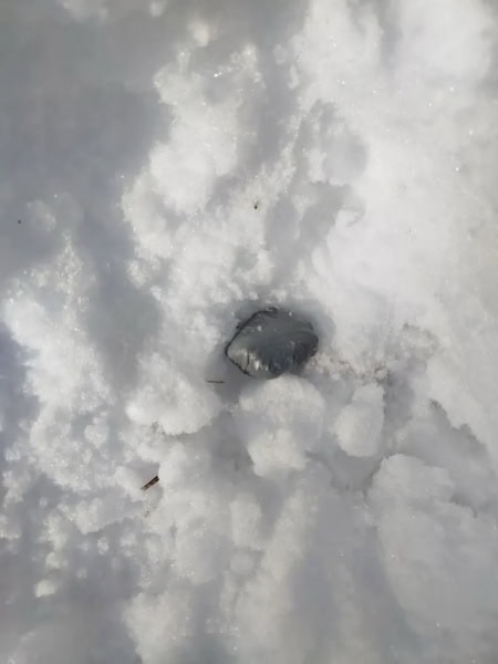 Фото: 13.мвд.рф