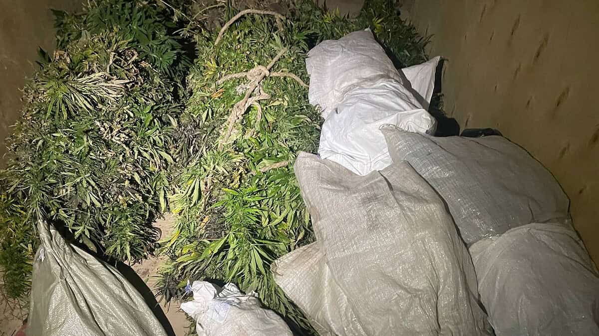 Фото: пресс-служба УФСБ России по РМ