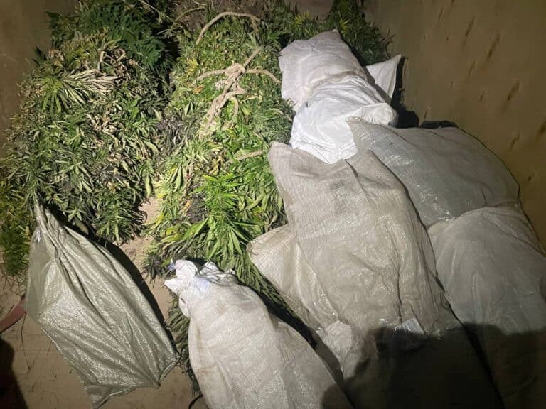 4 10 килограммов сырья и 30 лет строгого режима: в Мордовии вынесли приговор организаторам наркоплантации