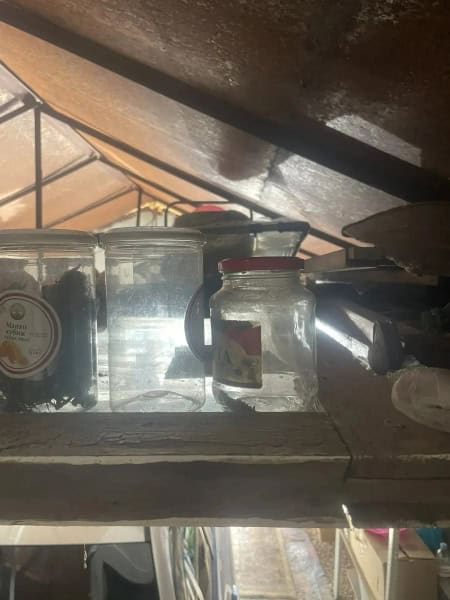 Фото: 13.мвд.рф