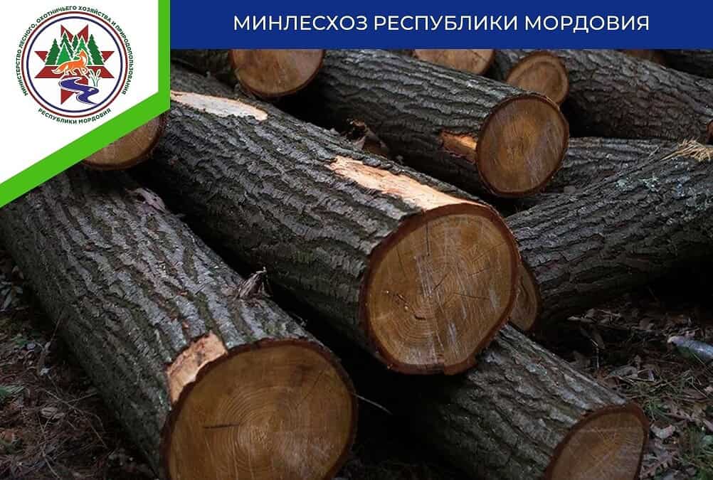 Фото: Минлесхоз Мордовии