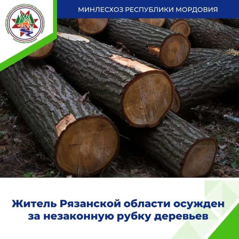 Фото: Минлесхоз Мордовии