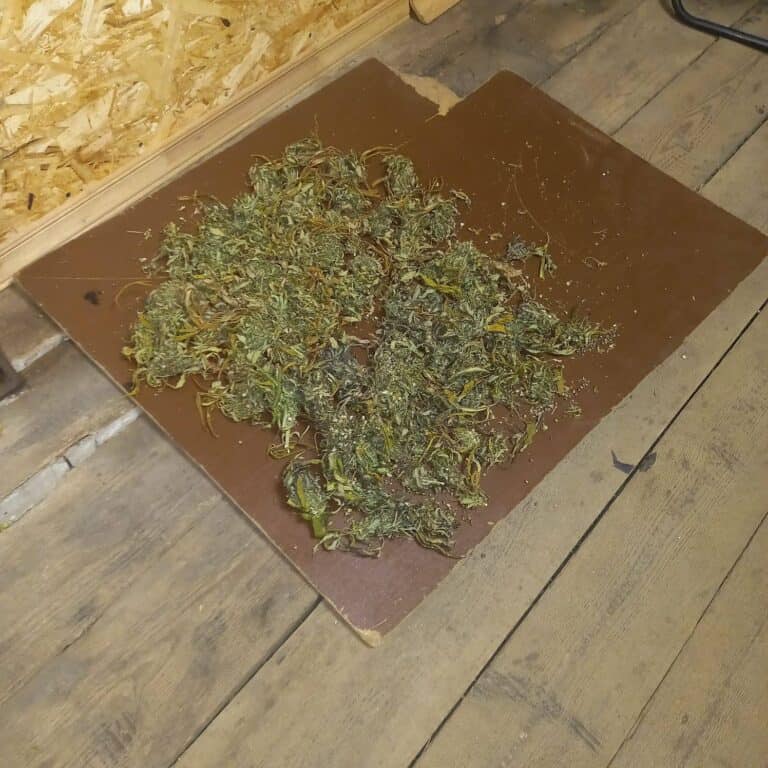 7 В Мордовии до 1 мая проходит акция «Сообщи, где торгуют смертью»