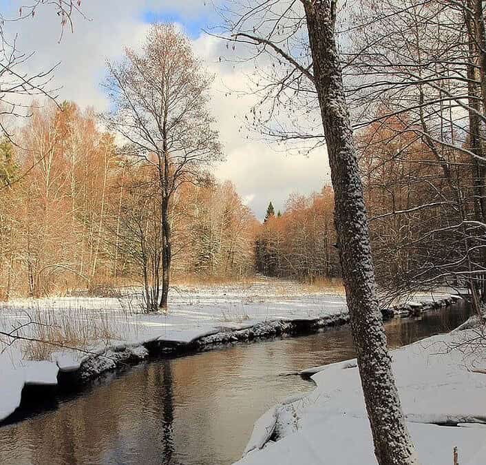Фото: ЕДДС Торбеевского МР