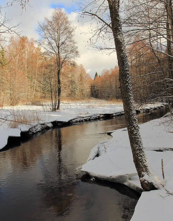 Фото: ЕДДС Торбеевского МР
