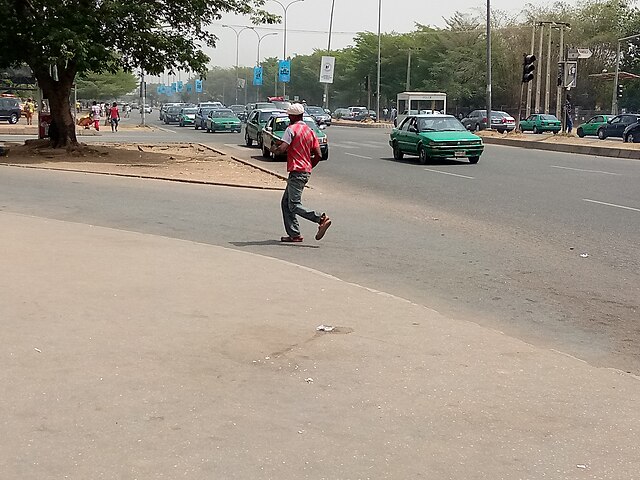 Фото: commons.wikimedia.org/Dike Chukwuma/Creative Commons Attribution-Share Alike 4.0