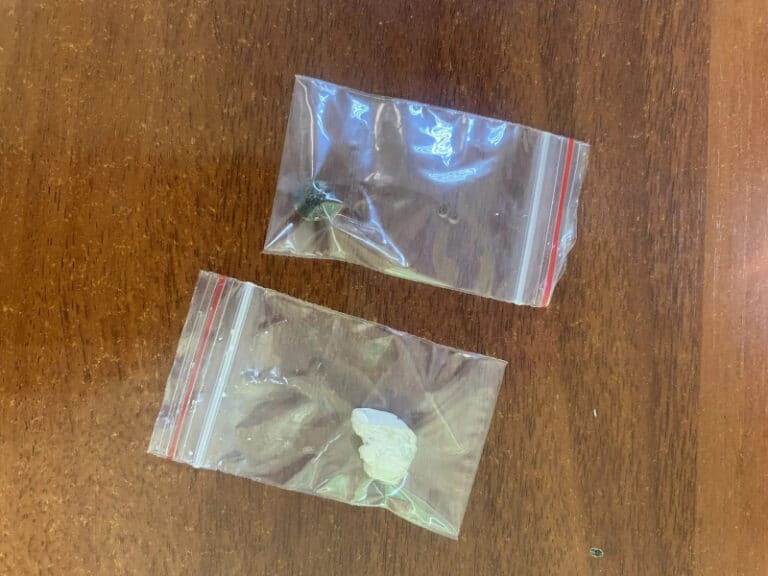 Фото: 13.мвд.рф